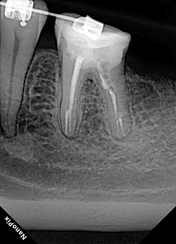 photo-8.jpg